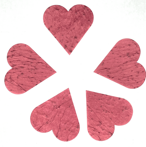 NEW: Heart shape seed paper - red or white - Spread Confetti